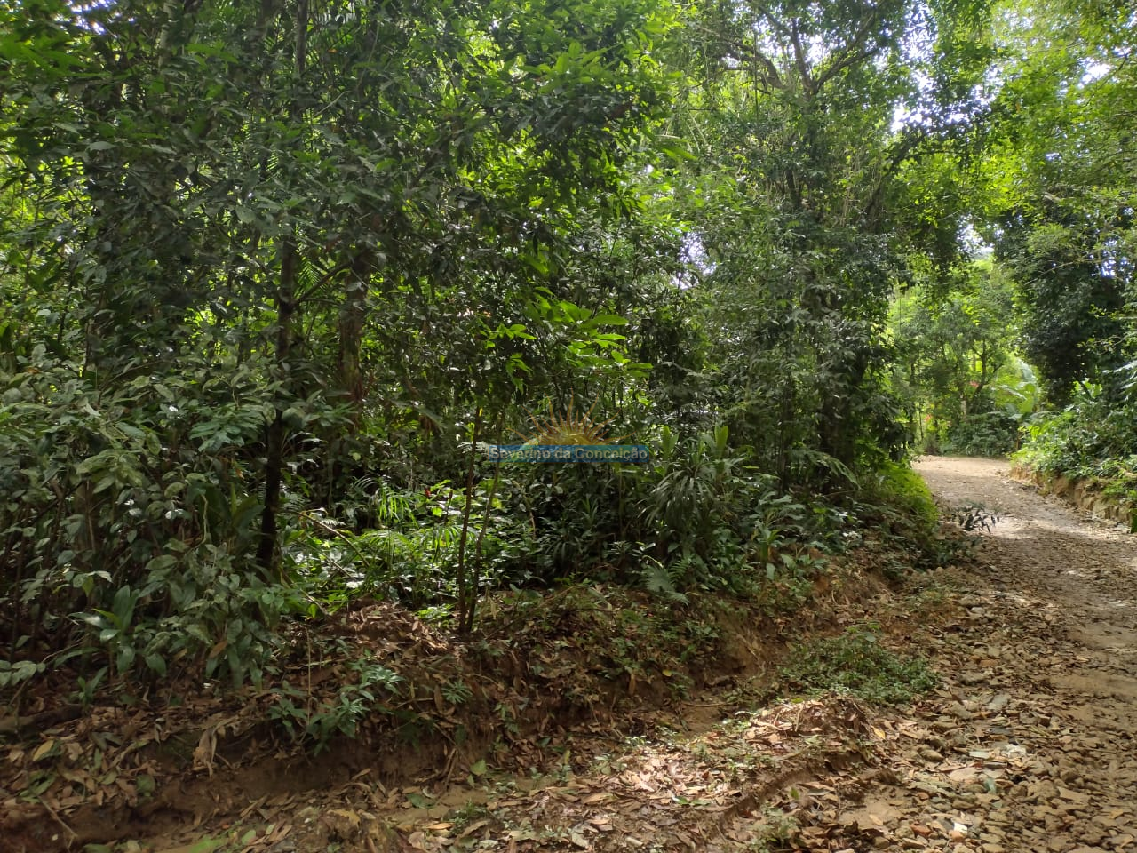 Terreno a venda no bairro Guarau