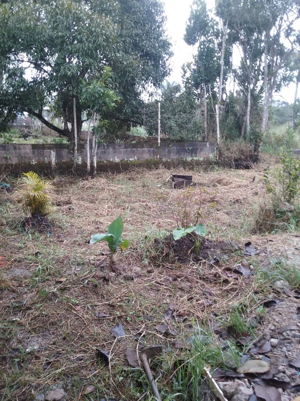 Terreno Nova Peruíbe